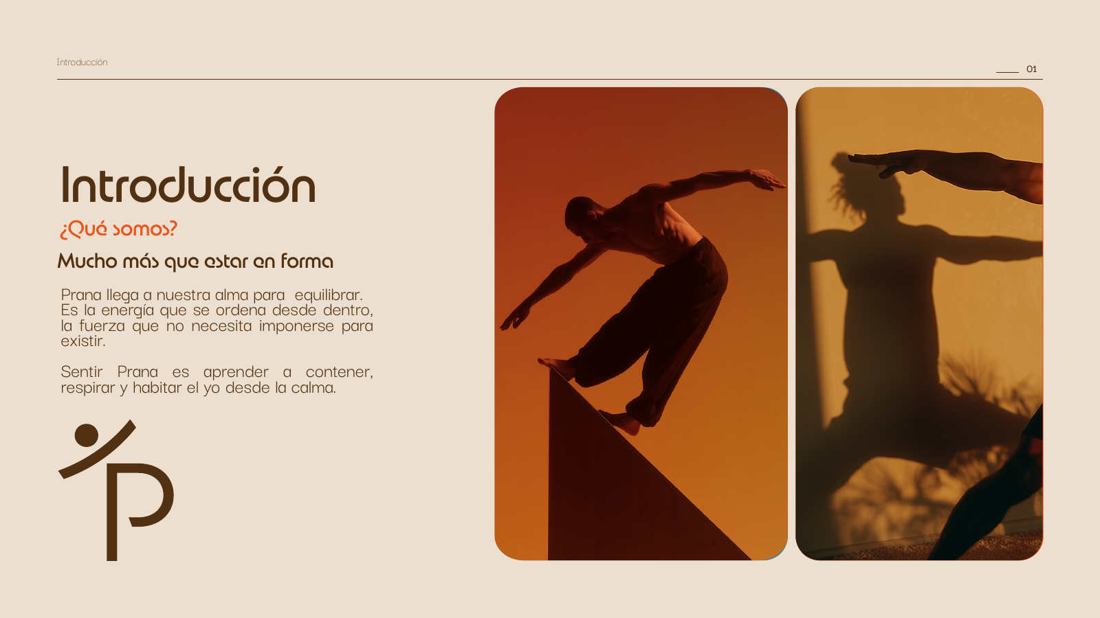 Introducción y concepto de Prana